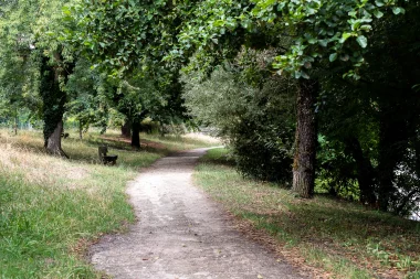Parc de Fontaudin de Pessac (3).